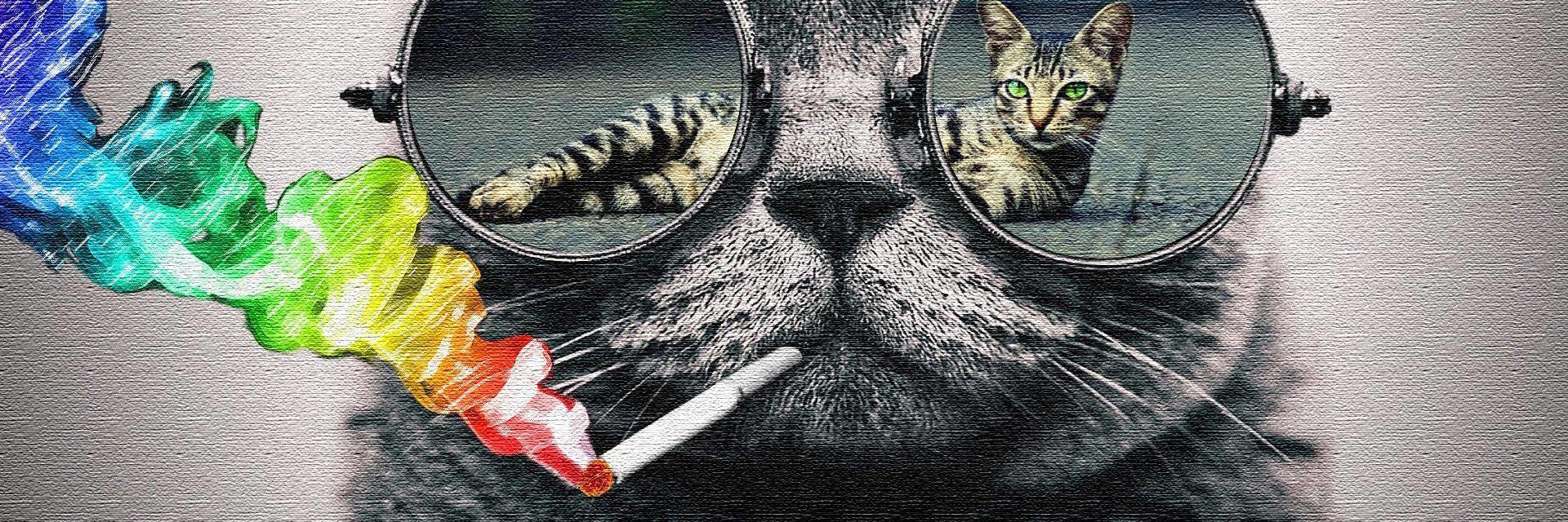 Helo Dellarosa banner