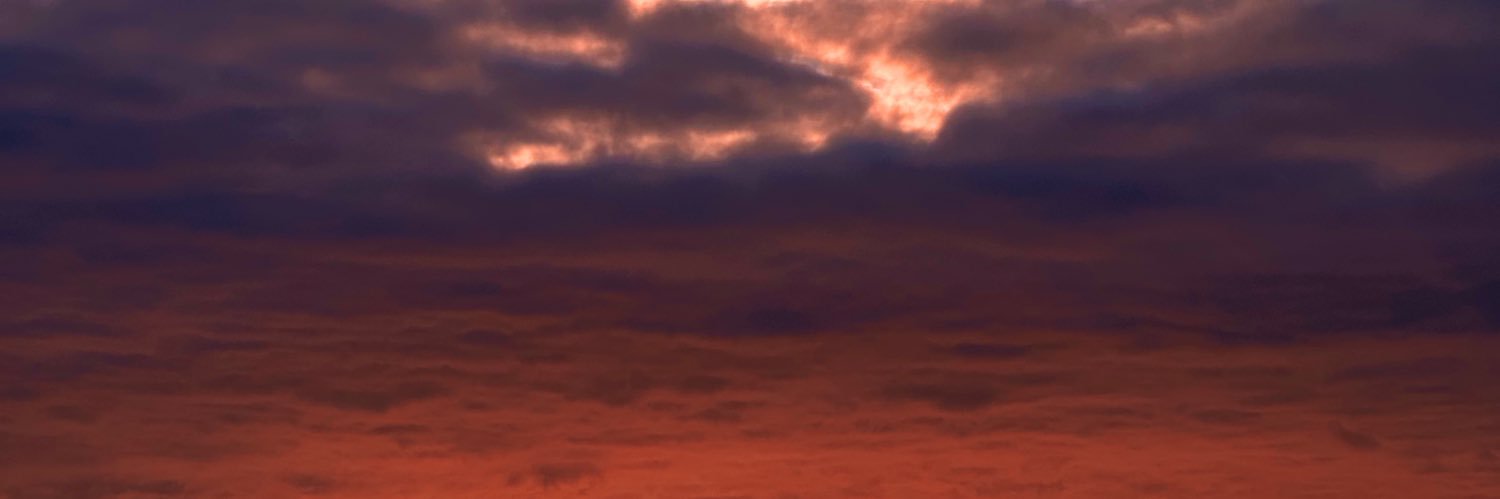 fei banner