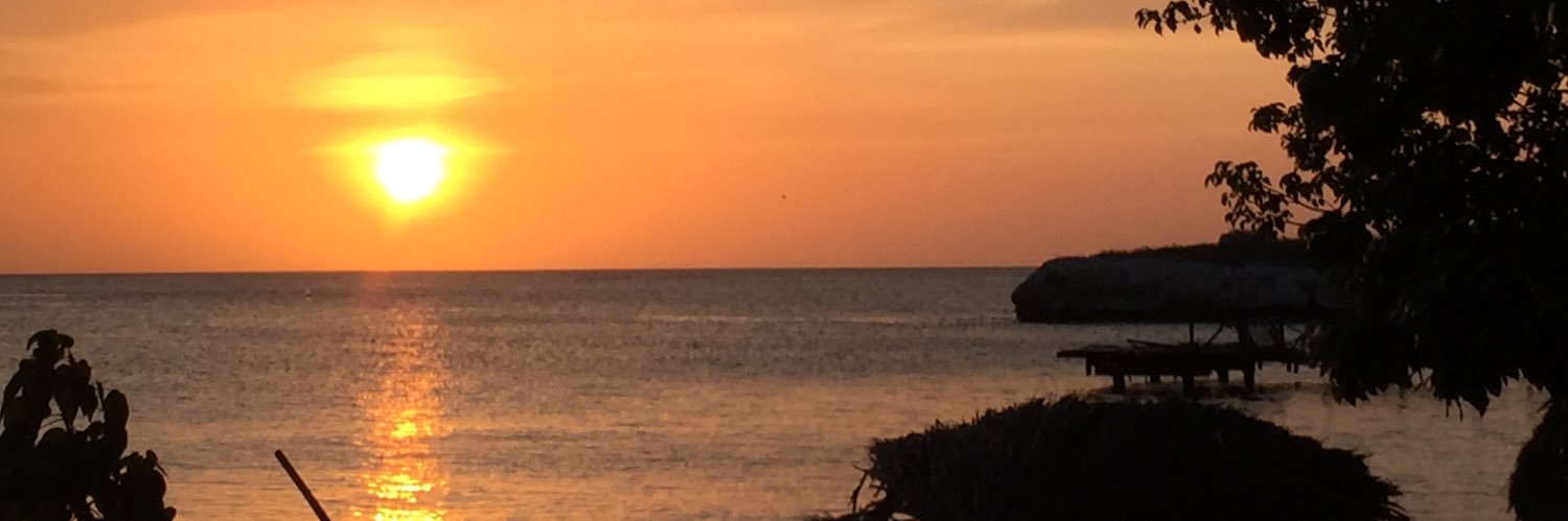 Stuart Sandin banner