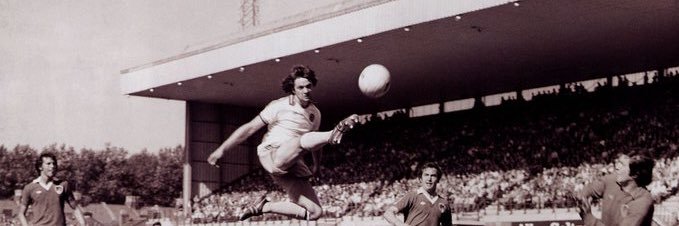 Sir Brian Of Little banner