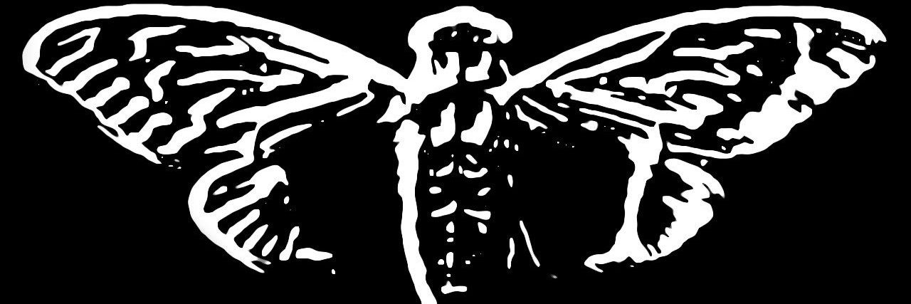 testeselme's profile banner image