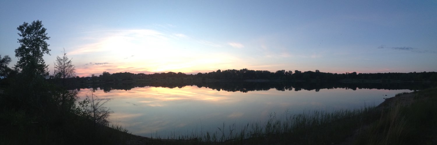 ╲⎝⧹∀lǝx ⧸⎠╱ banner