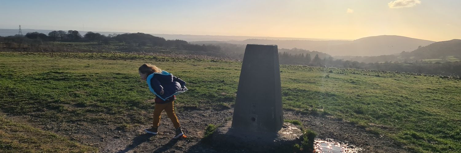 Daniel Williams banner