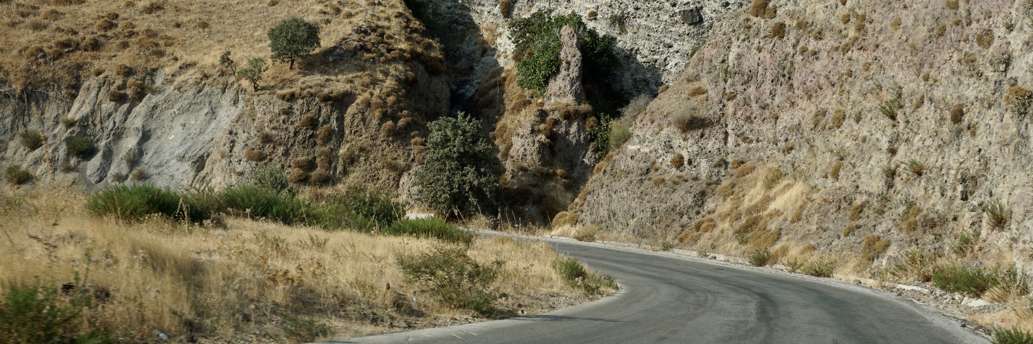 Franziska Grillmeier banner