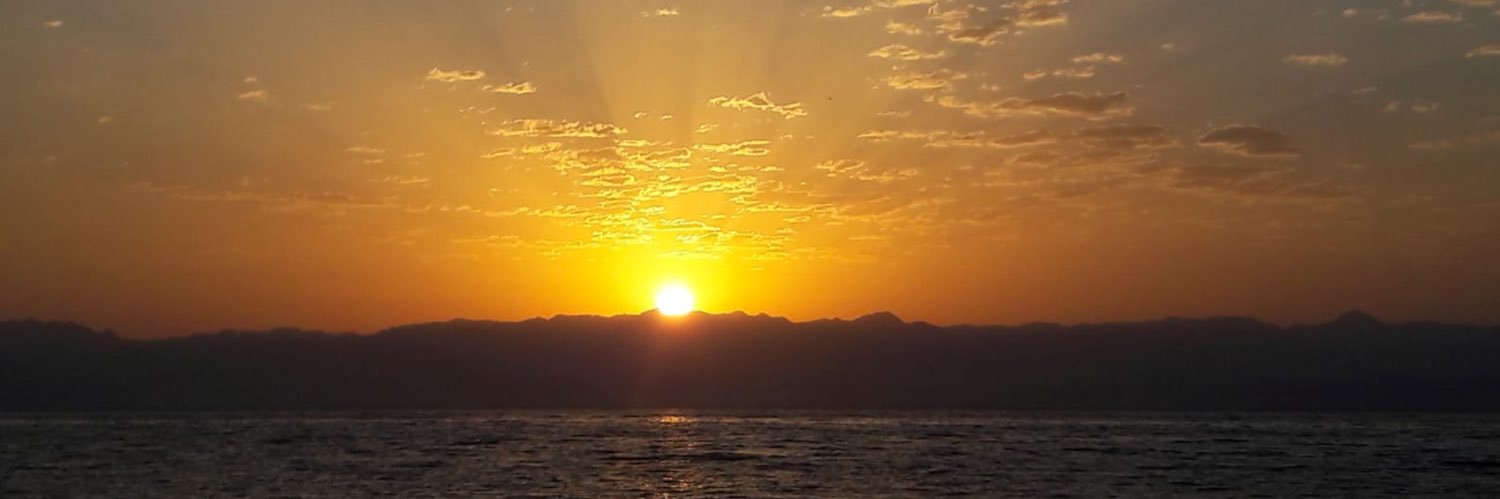 Omer Carmel 🏳️‍🌈🇮🇱 banner