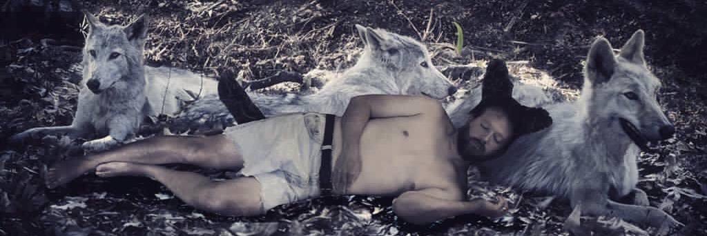 YLWolfBoy's profile banner image
