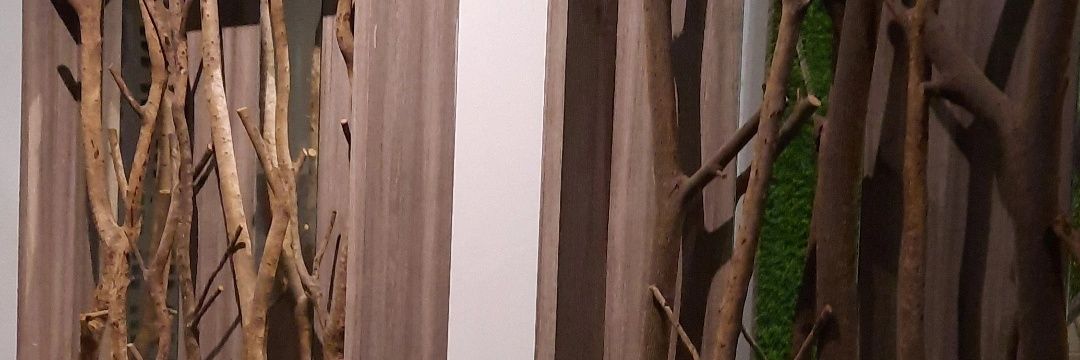 carlaaura's profile banner image