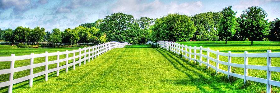 TowbyM's profile banner image