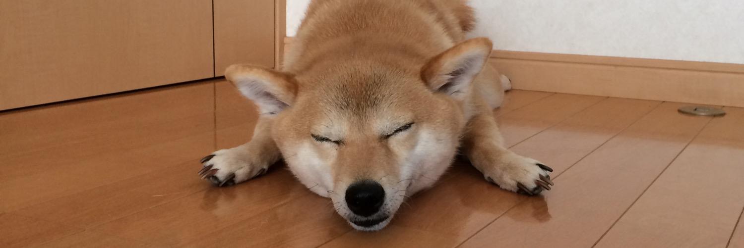 nyao005's profile banner image