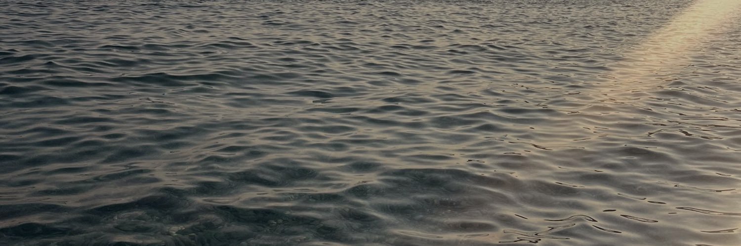 inescamboa's profile banner image