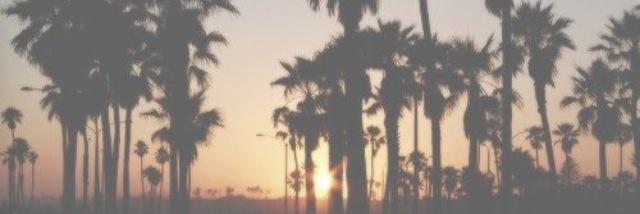__elaina's profile banner image