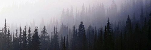 Justine_bbn's profile banner image