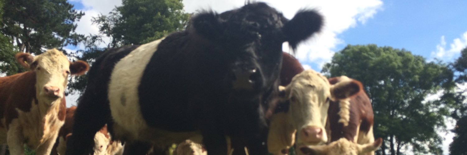 coatesymatt's profile banner image