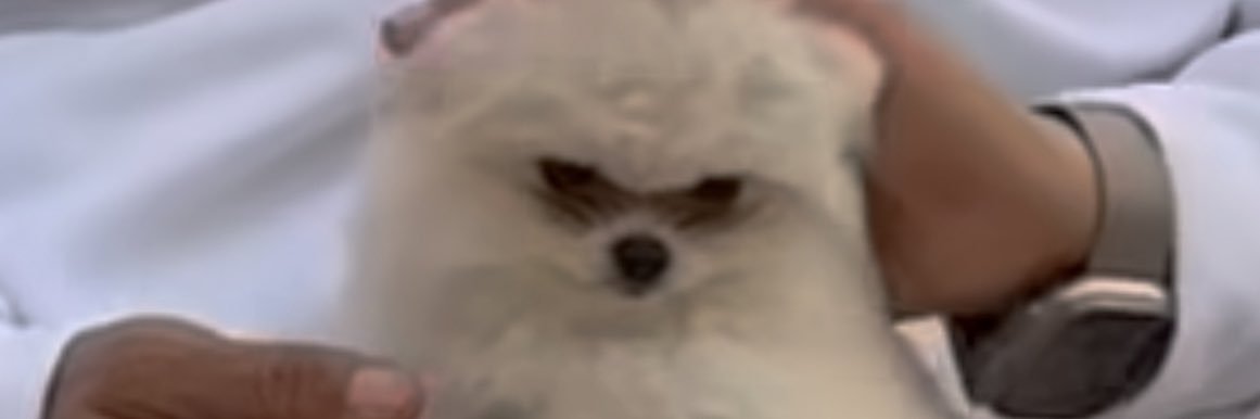 umarani76's profile banner image