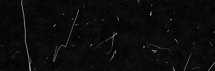 teamdimplesfrvr's profile banner image