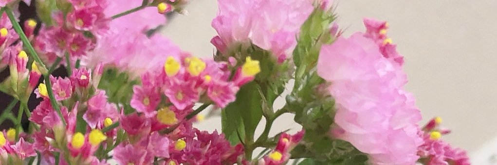 _m_ii_n's profile banner image