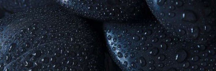 sultan_majeeb's profile banner image