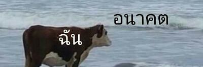 藍瘦香菇||| banner