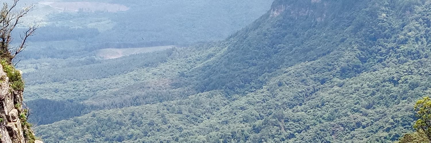 tjthage1's profile banner image