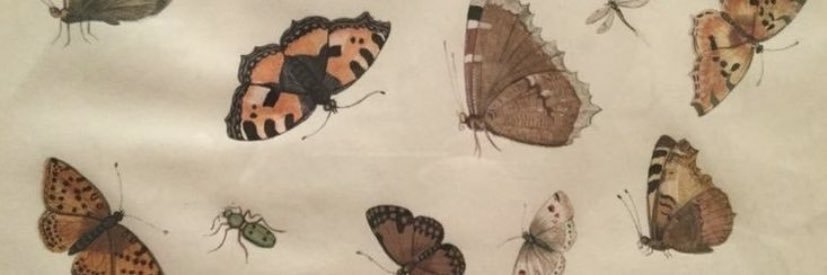 brenna banner