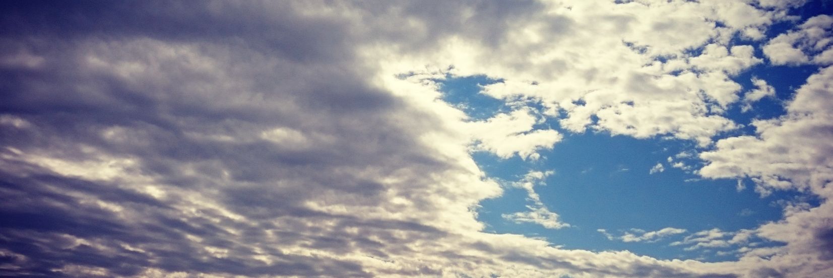 m_ozwald's profile banner image