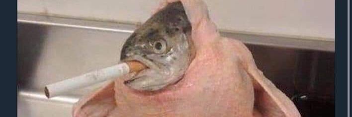 aUtIsTiC_BiRdZ's profile banner image