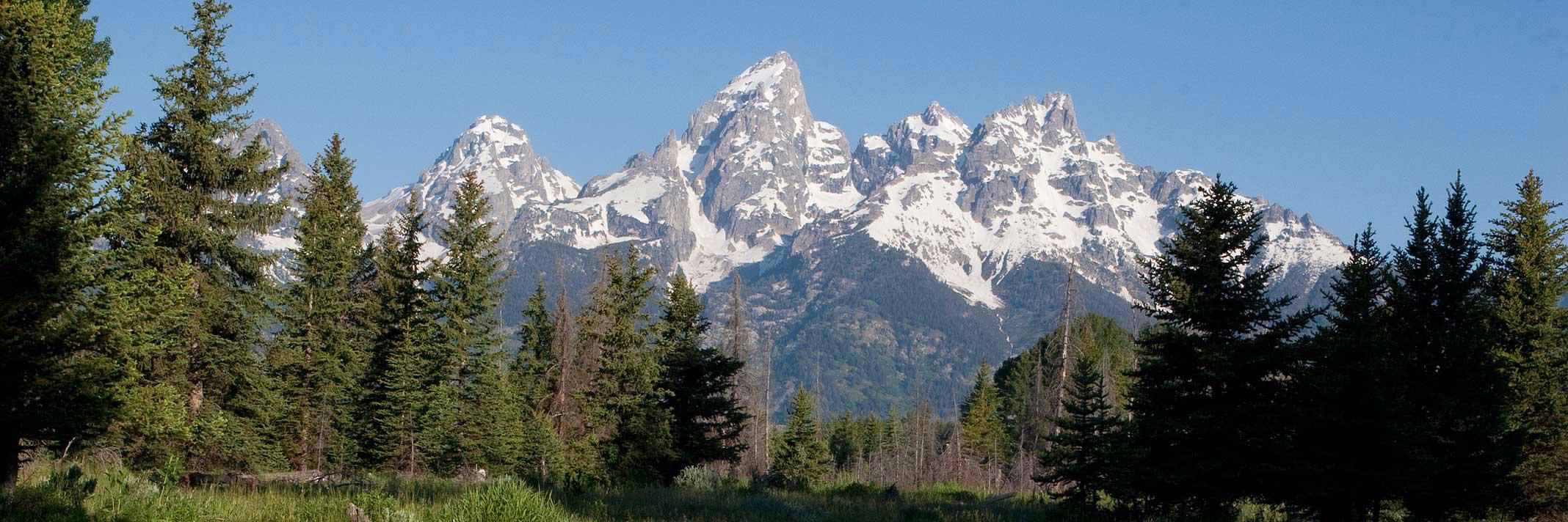 TheJacksonHole's profile banner image