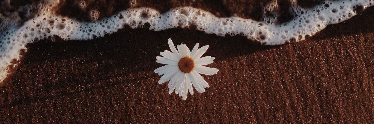 CallMeSjoerd's profile banner image