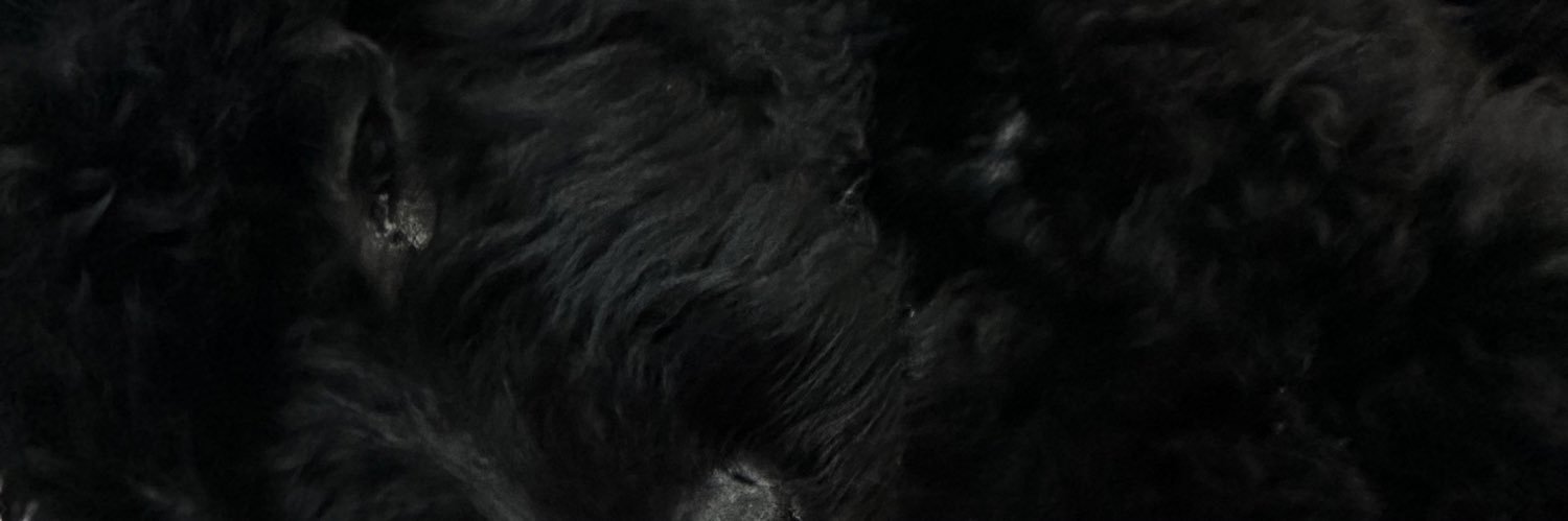 reddoo_'s profile banner image