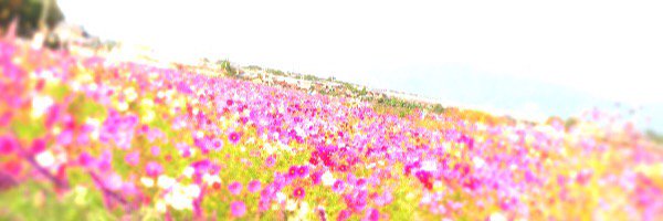 take_natu65's profile banner image