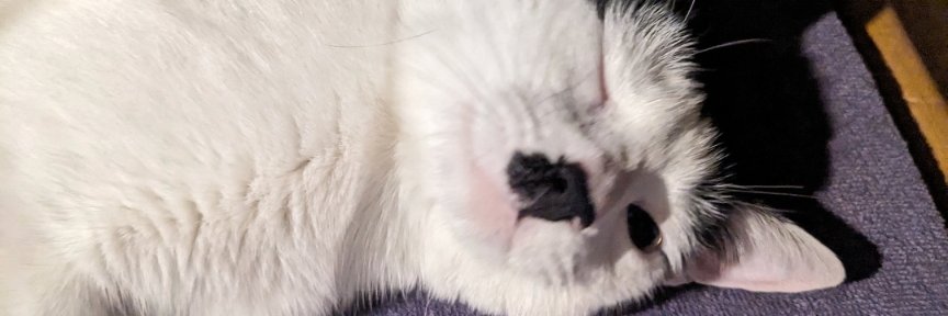 1Immovable's profile banner image