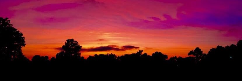 MrsWilliams627's profile banner image