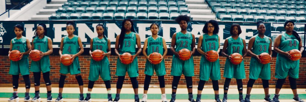 LadyKatHoops's profile banner image