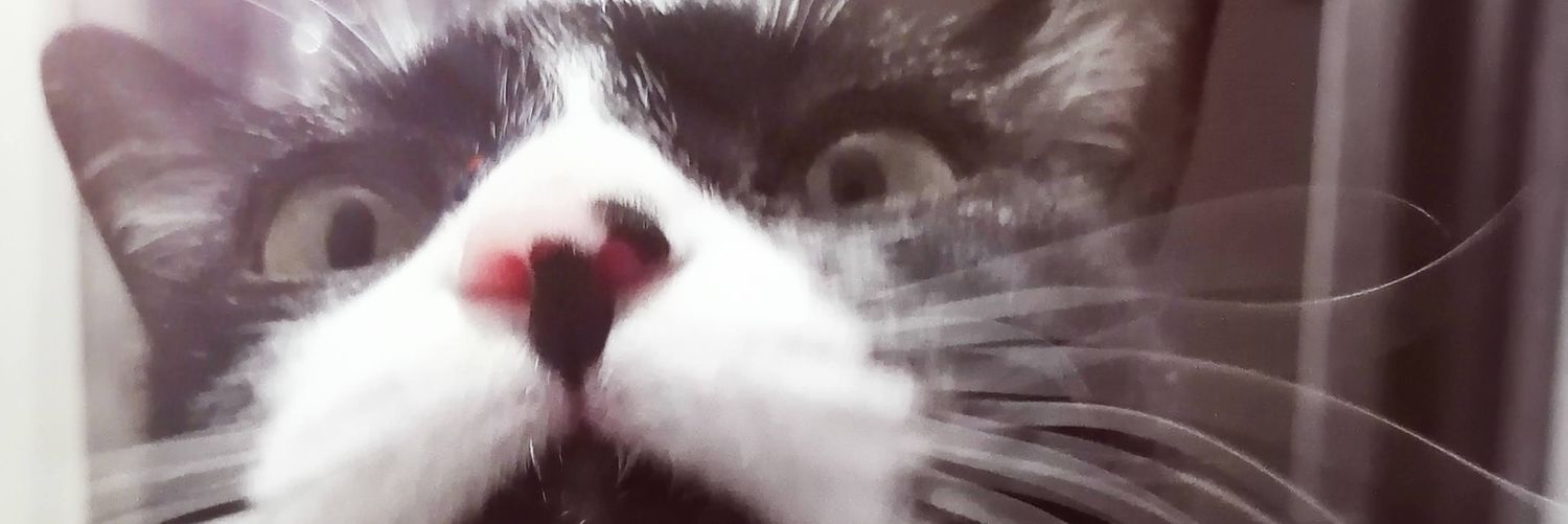 soultmatm's profile banner image