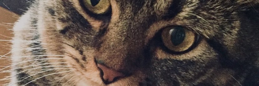 uruhachan357's profile banner image
