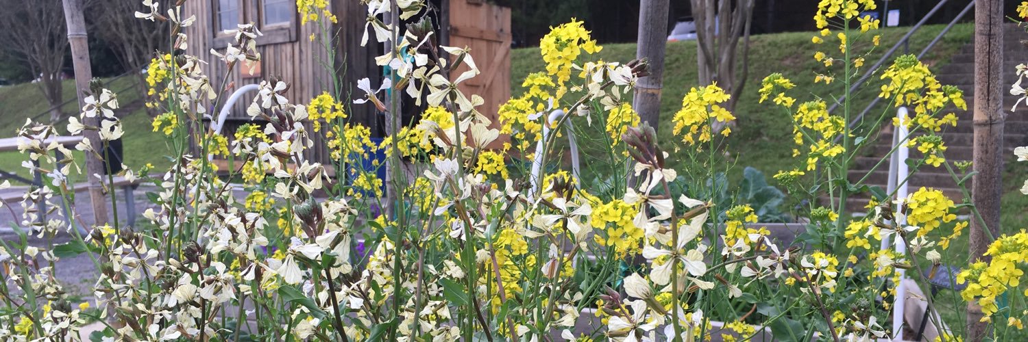 HMS School Garden banner