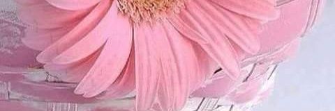 mliza_402's profile banner image