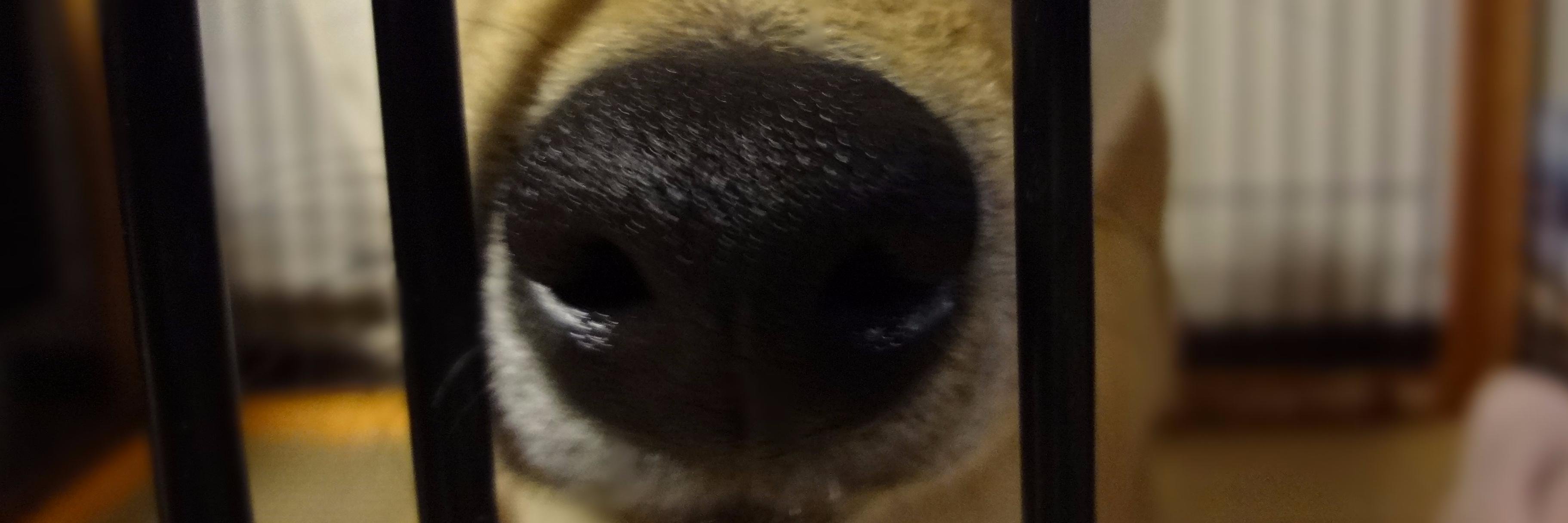 Yusuke Sakai @ore88ore banner