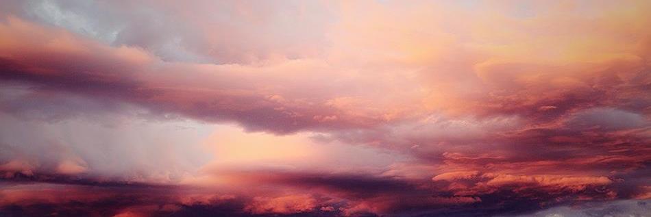 staceyemmariley's profile banner image