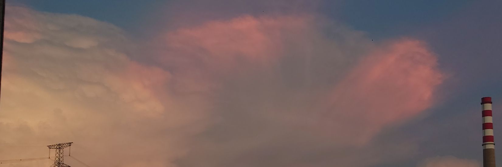 EvilBear233's profile banner image