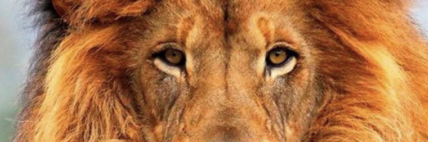 Libre opinador banner