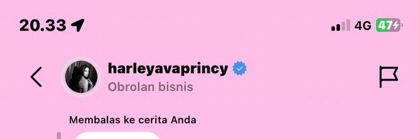 dindalollyy Profile Banner