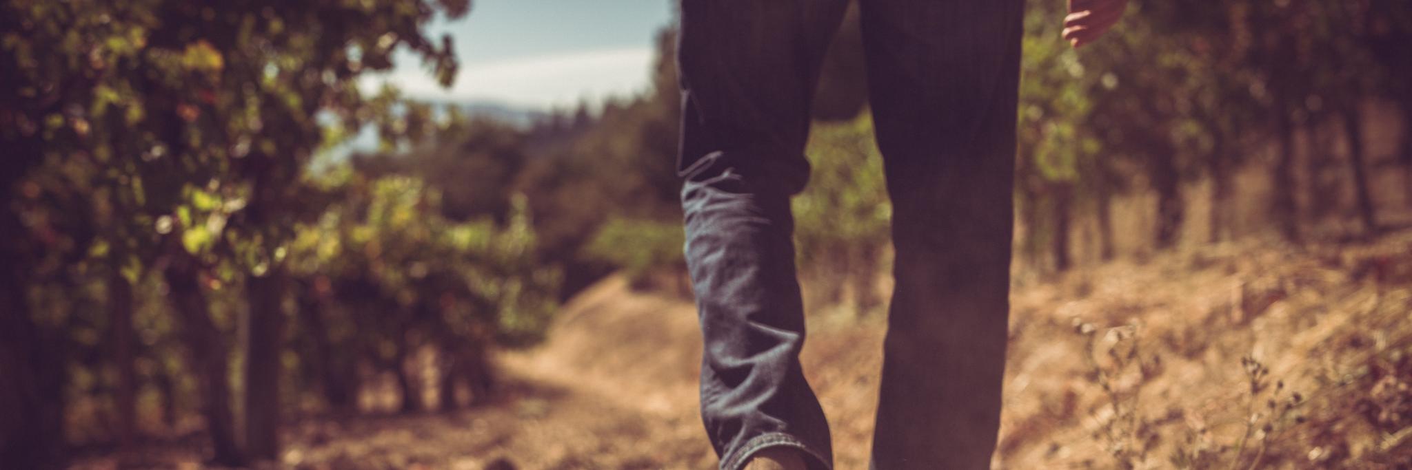 AmizettaEstate's profile banner image