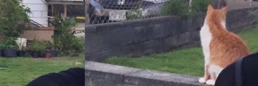 civilraw's profile banner image