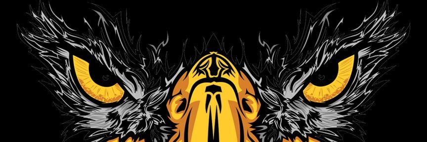 LBEaglesFB's profile banner image