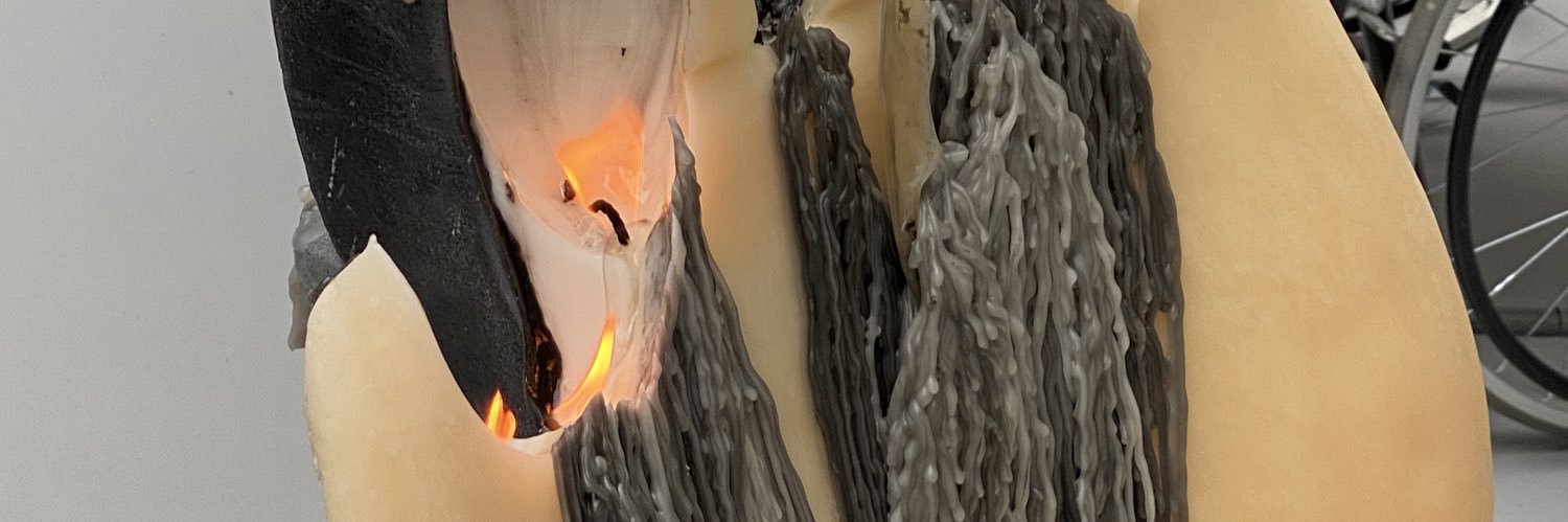 Gonçalo Afonso banner