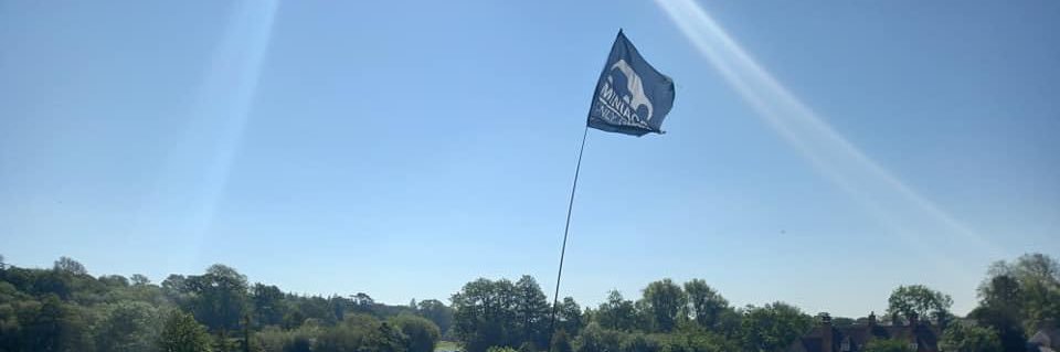 MiniacsOnly's profile banner image