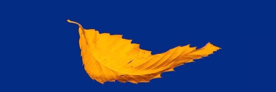 KenWeldin's profile banner image