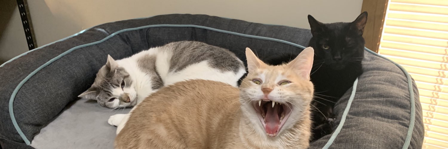 em_rosess's profile banner image