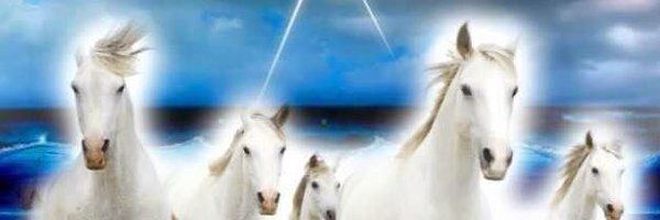 nicolasavansini Profile Banner